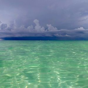 Meet your Posher, Shane